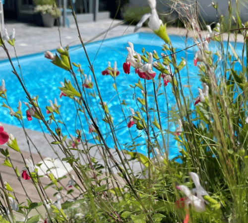 fleurs devant piscine privée